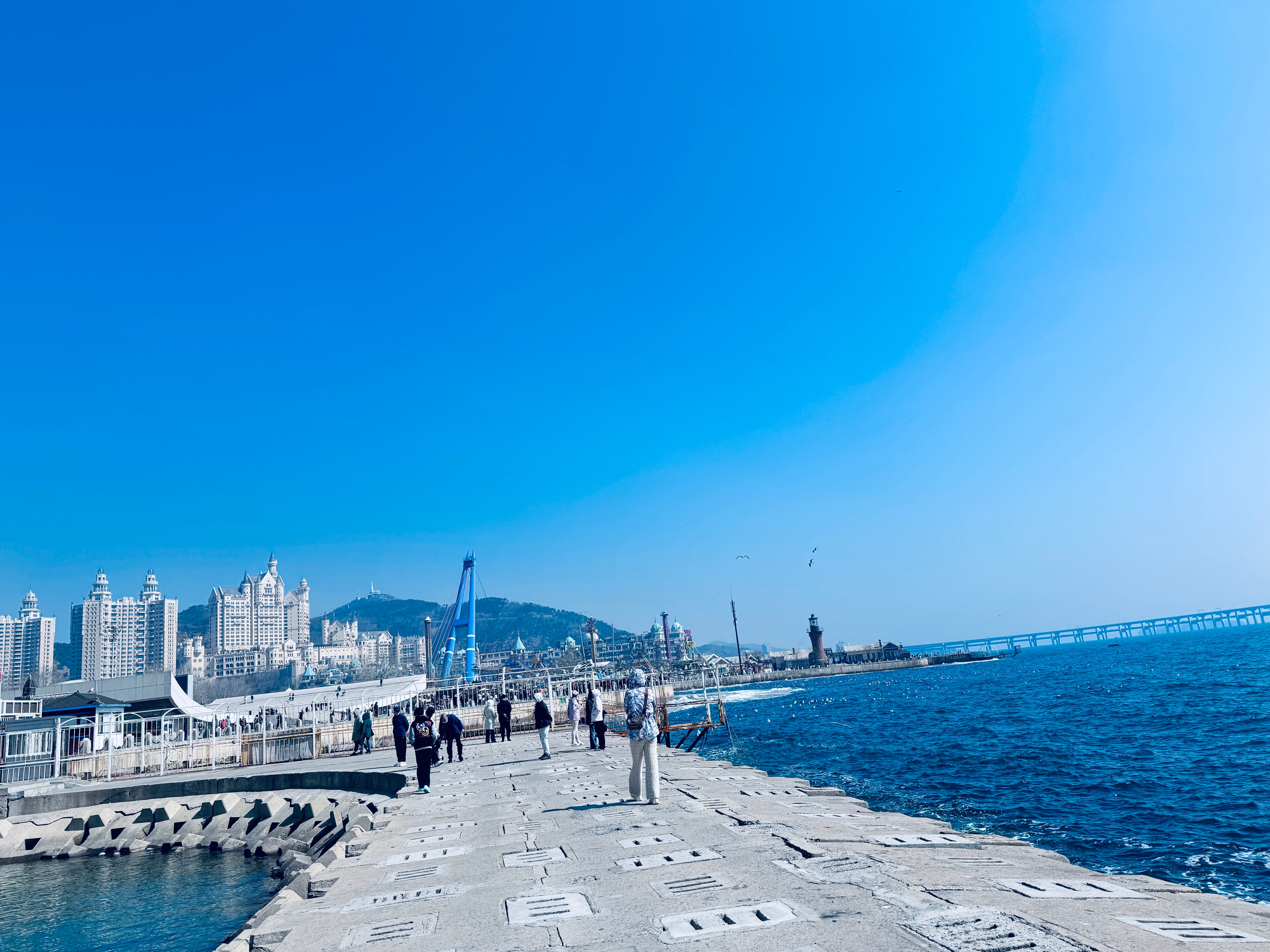 大连深度解析，历史沿革、经济发展与文化底蕴探究